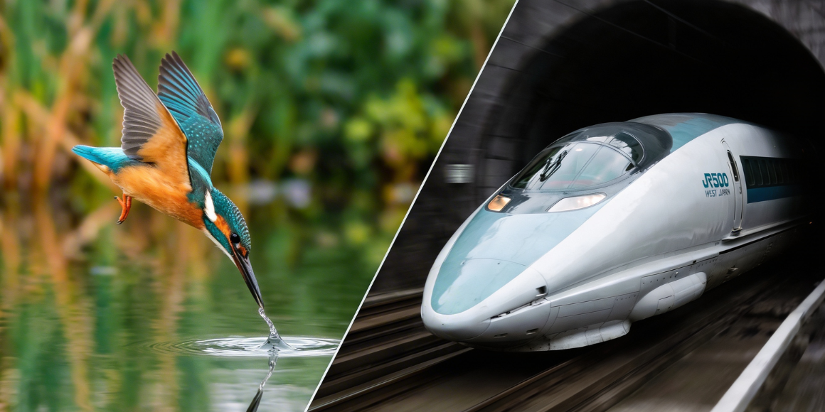 1160 x  580 (69).png